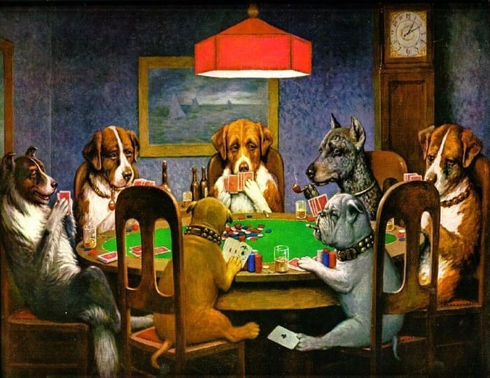 dogs play poker