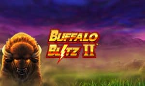 Doxxbet v roku 2022 – Buffalo Blitz 2